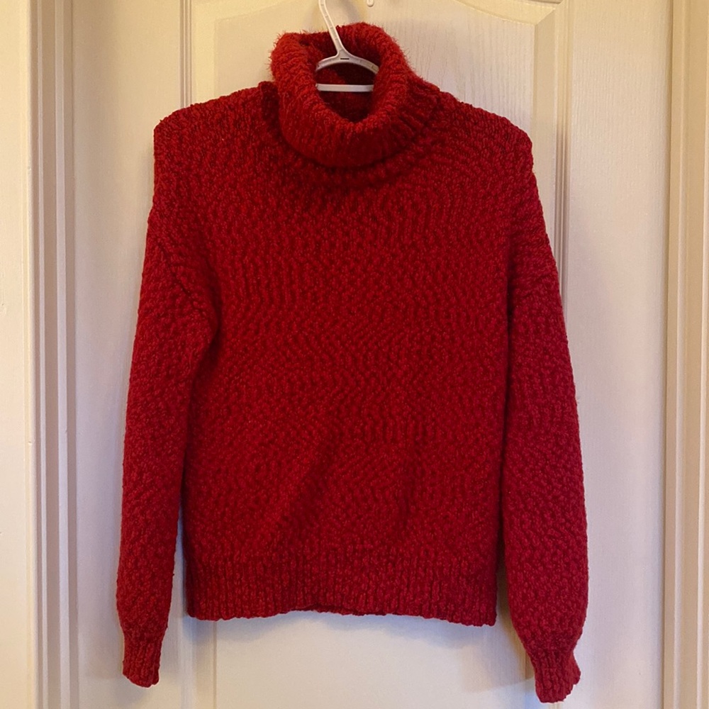 Yet Again - Used like new condition.  Lovely color for Winter & Holidays.